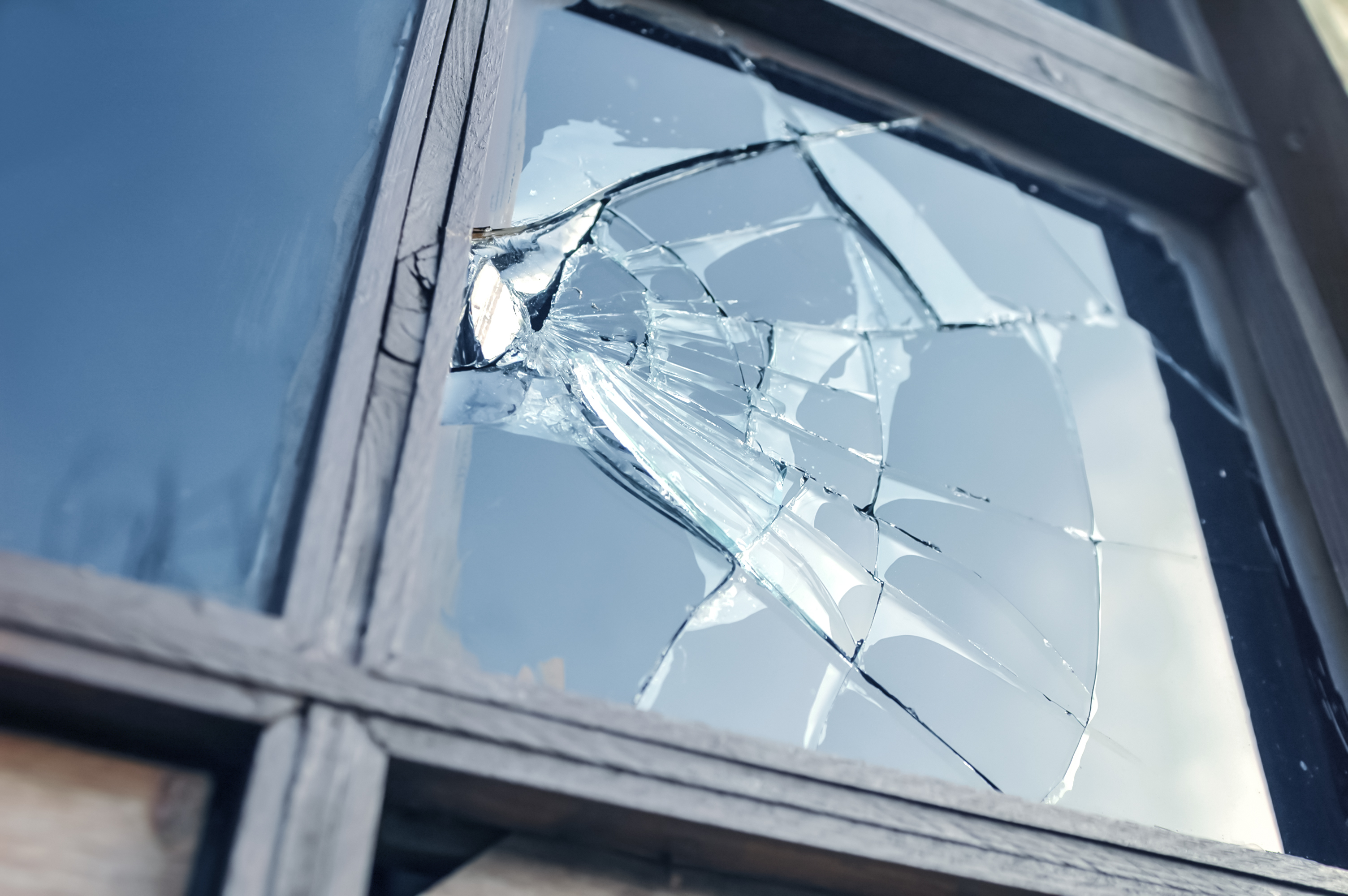 williams— Insurance Agency